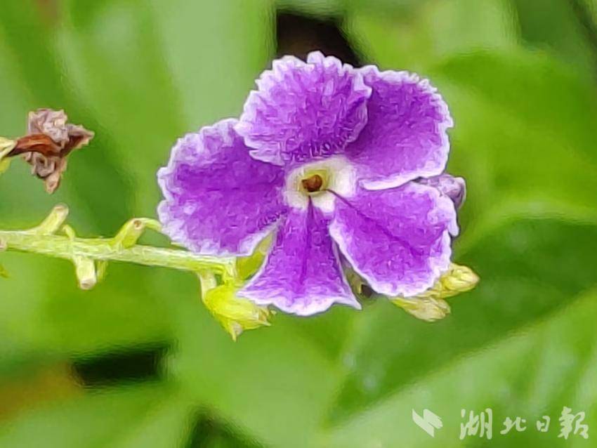 银河彩票汇